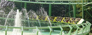 Magic Mountain