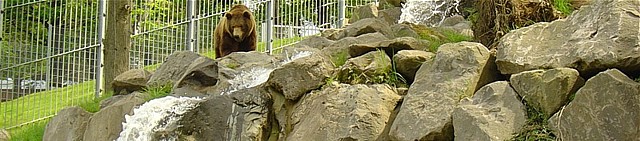 Wildgehege