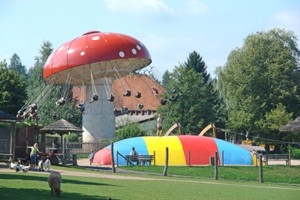 Wellenfliegerpilz - Erlebnispark Steinau