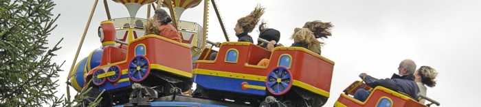 Wild Train