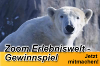 Zoom-Erlebniswelt-Gewinnspiel