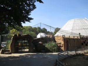 Der Pinguin-Pool, im Hintergrund das Regenwaldhaus - Foto 1
