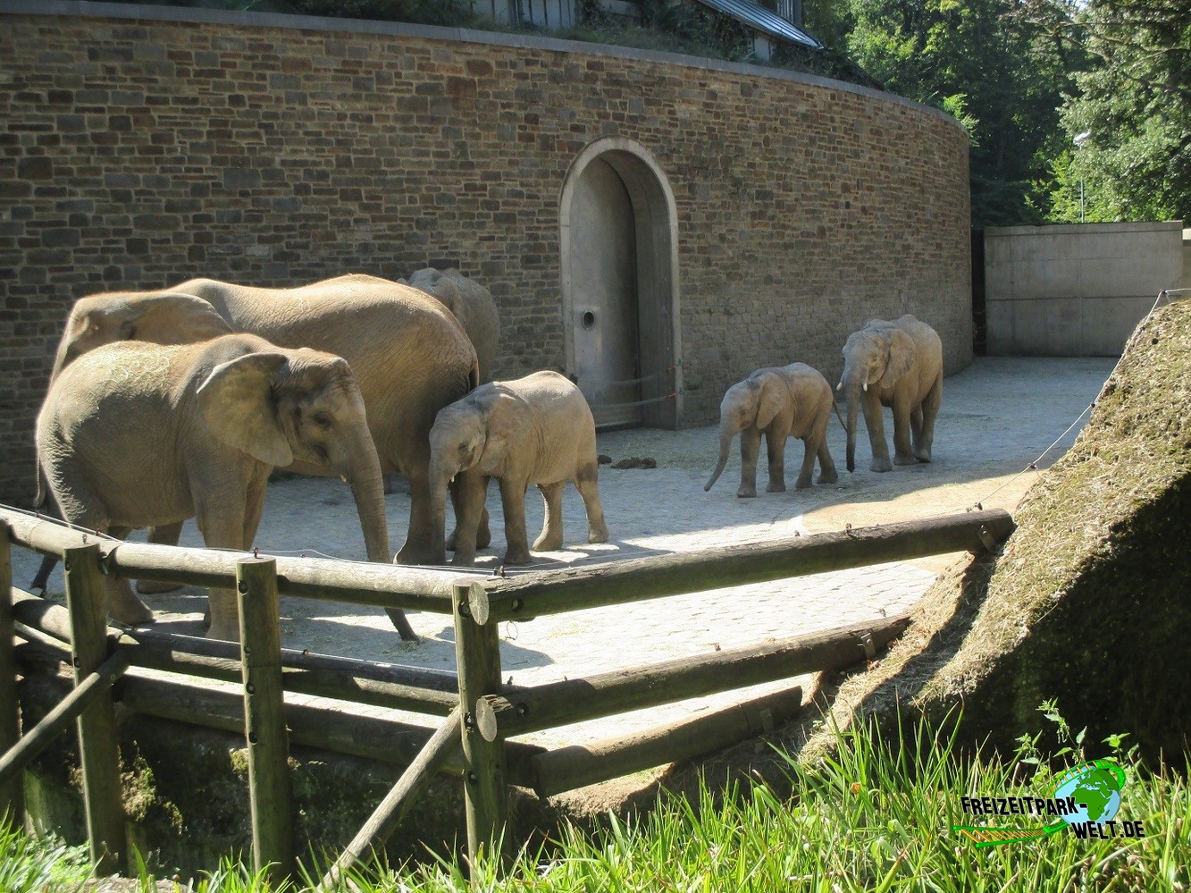 Elefanten Zoo Wuppertal FreizeitparkWelt.de