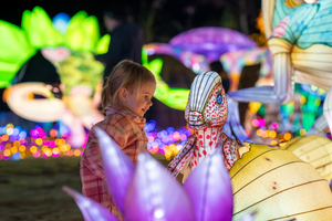 Serengeti-Park startet zweite Wintersaison: Großes Lichterfestival bis 01. März 2026
