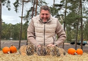 Nachwuchs bei den Sibirischen Tigern im Serengeti-Park