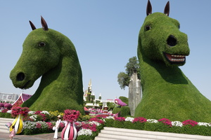 Ein Tag im Dubai Miracle Garden: das Blumenparadies in der Wüste