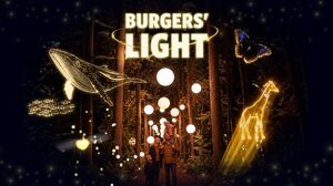 Burgers' Zoo lädt zur Lichtshow „Burgers’ Light