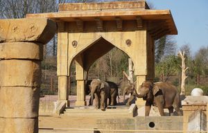 Erlebnis-Zoo Hannover blickt auf ein gutes Jahr 2022