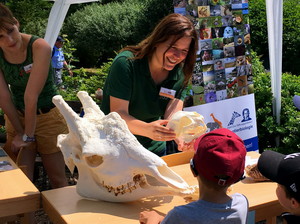 Aktionstage „Biologische Vielfalt erleben“ am 11. und 12. Juli im Opel-Zoo