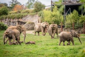 Bilanz 2023 und Ausblick auf die kommende Saison im Opel Zoo