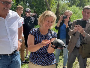 SEA LIFE Speyer: Wiederansiedlung der 400. Sumpfschildkröte 
