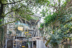 Neustart für Regenwaldhaus: Tiergarten Schönbrunn baut riesige Fledermausanlage 