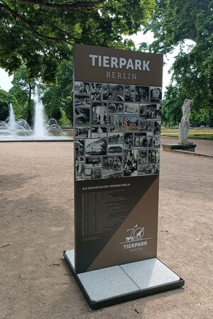 70 Jahre Tierpark Berlin: Ein nostalgischer Spaziergang und ein prominenter Gast