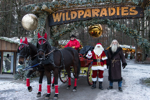 Wildparadies Tripsdrill in den Winterferien entdecken