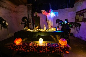 Zoo Duisburg: Halloween-Abend am 31. Oktober für die ganze Familie