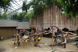 Affenhaus im Zoo Krefeld niedergebrannt