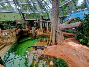 Zoo Leipzig: Modernes Terrarium in historischem Gewand eröffnet