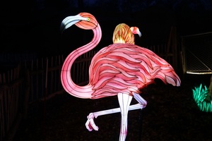 Zoo Osnabrück: Zoo-Lights erhellen Schölerberg