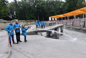Wasser marsch! Endspurt auf der größten Baustelle im Zoo Rostock