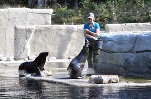 Die Lange Nacht der Wissenschaften - Zoo Rostock wieder mit dabei