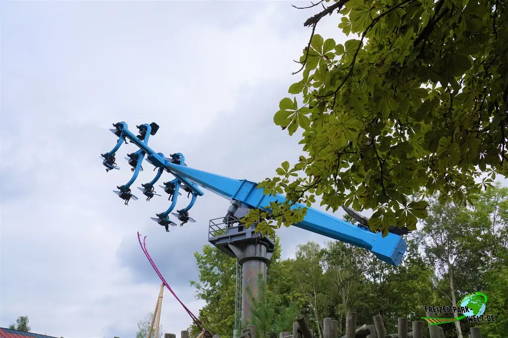 Duell der Adler im Bayern-Park - 2023