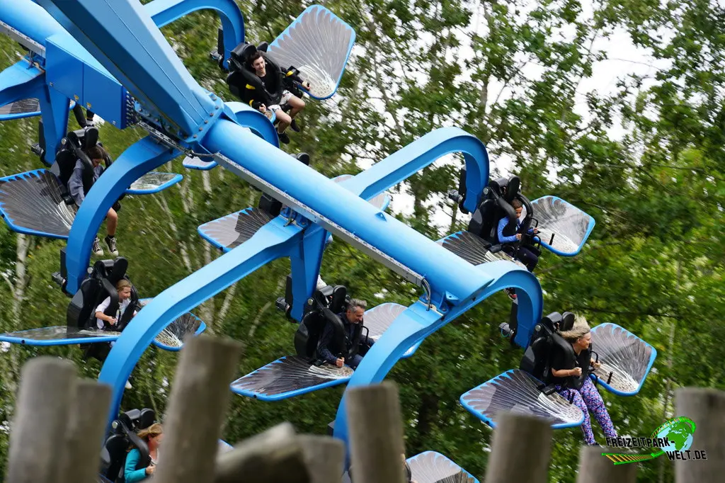 Duell der Adler im Bayern-Park - 2023