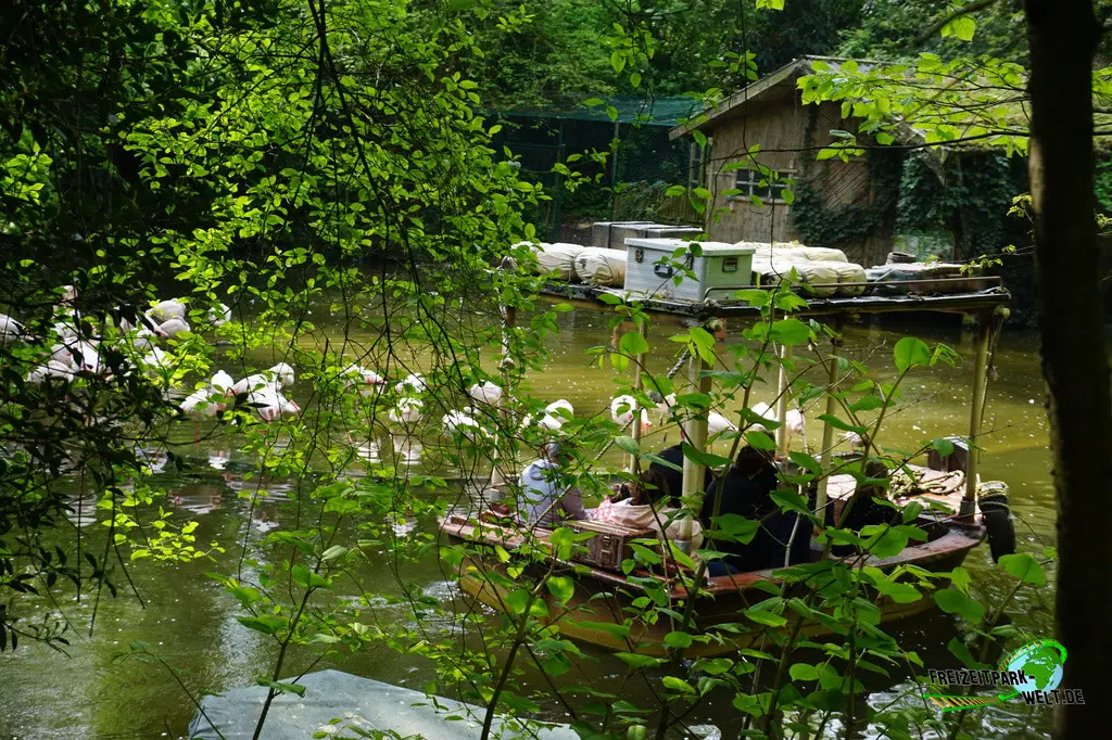 Jungle Mission im Bellewaerde Park - 2023