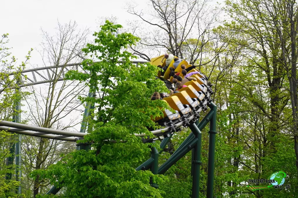 Wakala im Bellewaerde Park - 2023