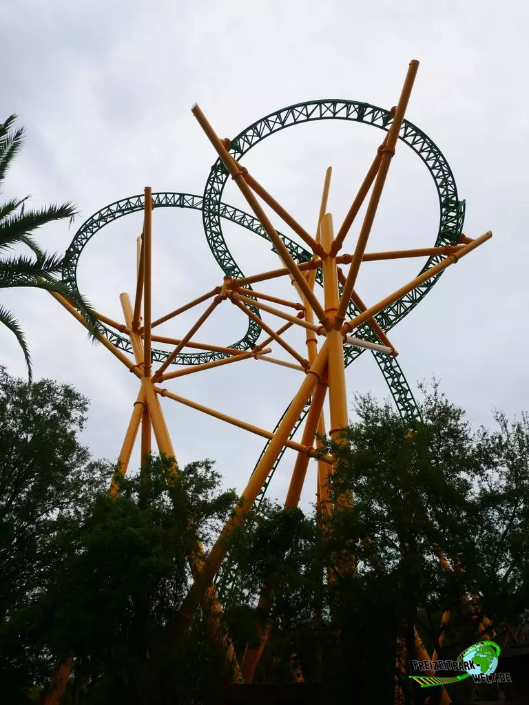 Cheetah Hunt im Busch Gardens Tampa - 2022