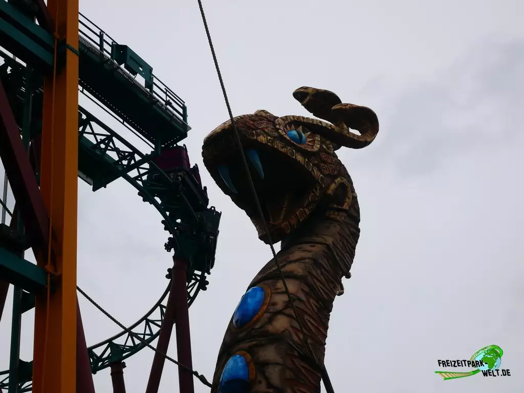 Cobra's Curse im Busch Gardens Tampa - 2022