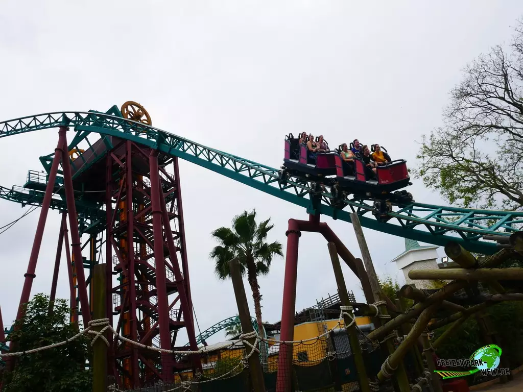 Cobra's Curse im Busch Gardens Tampa - 2022