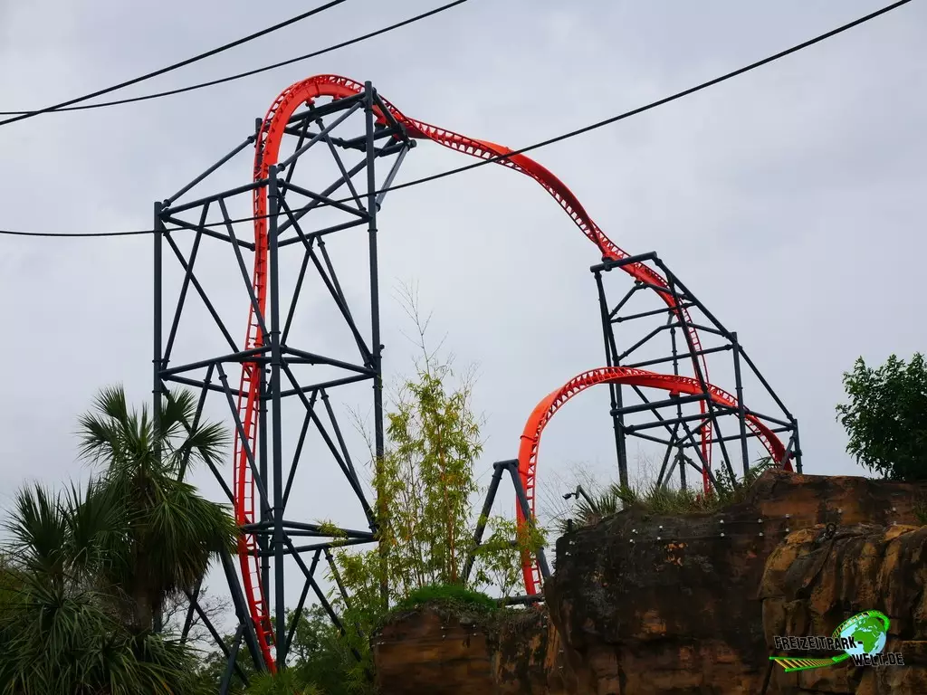 Tigris im Busch Gardens Tampa - 2022