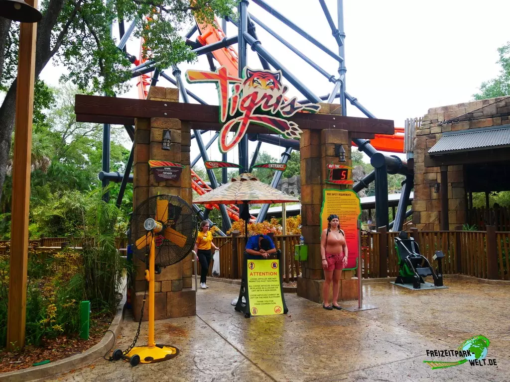 Tigris im Busch Gardens Tampa - 2022