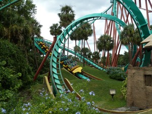 Teaserfoto Busch Gardens Tampa