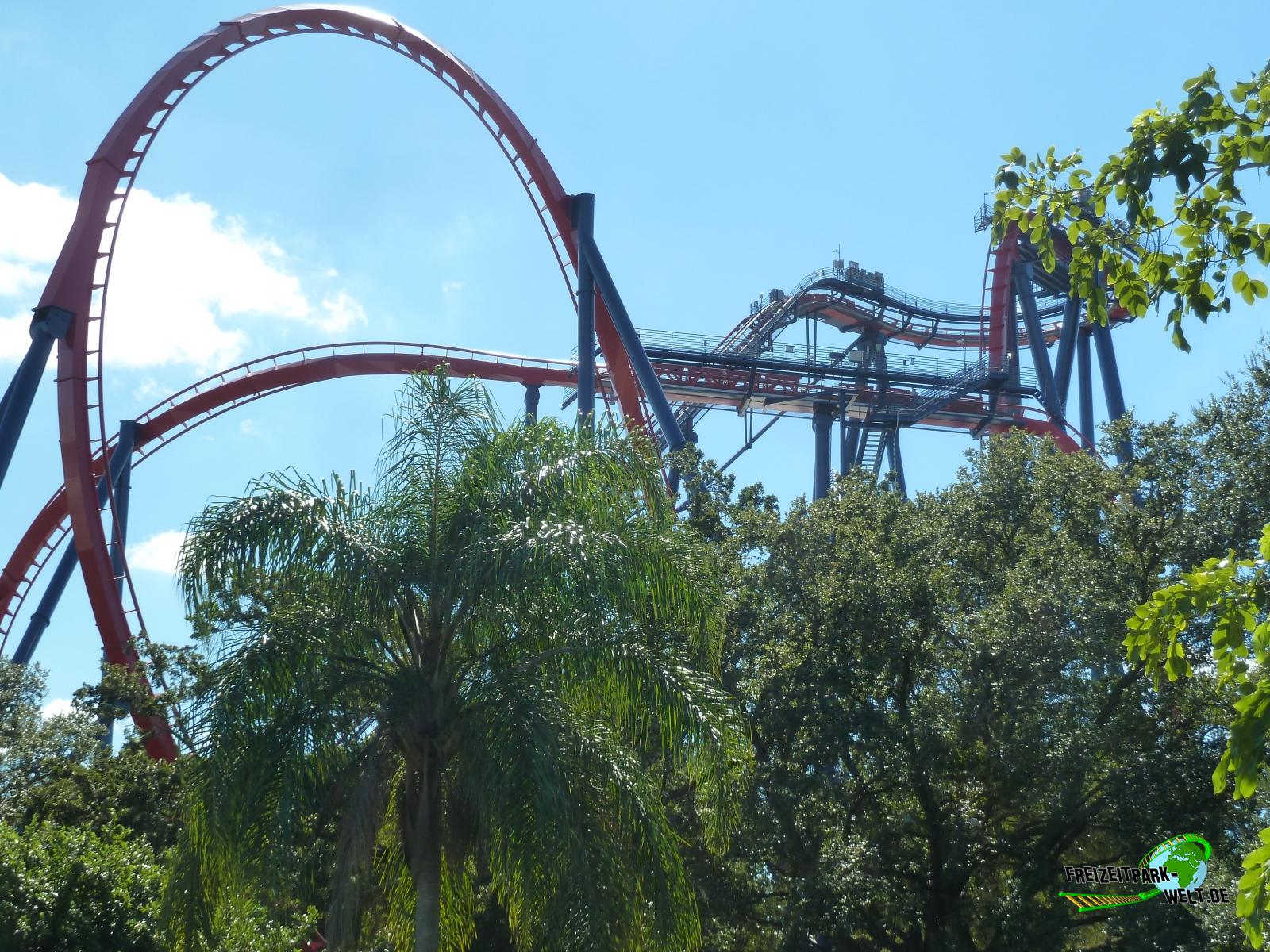 Sheikra Busch Gardens Tampa Freizeitpark Welt De