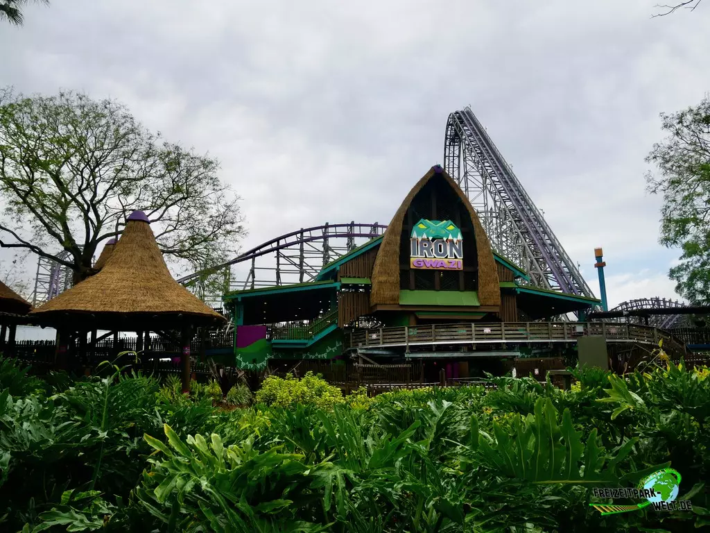 Iron Gwazi im Busch Gardens Tampa - 2022