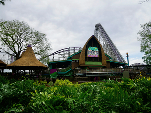 Mini-Galerie Busch Gardens Tampa Foto 4