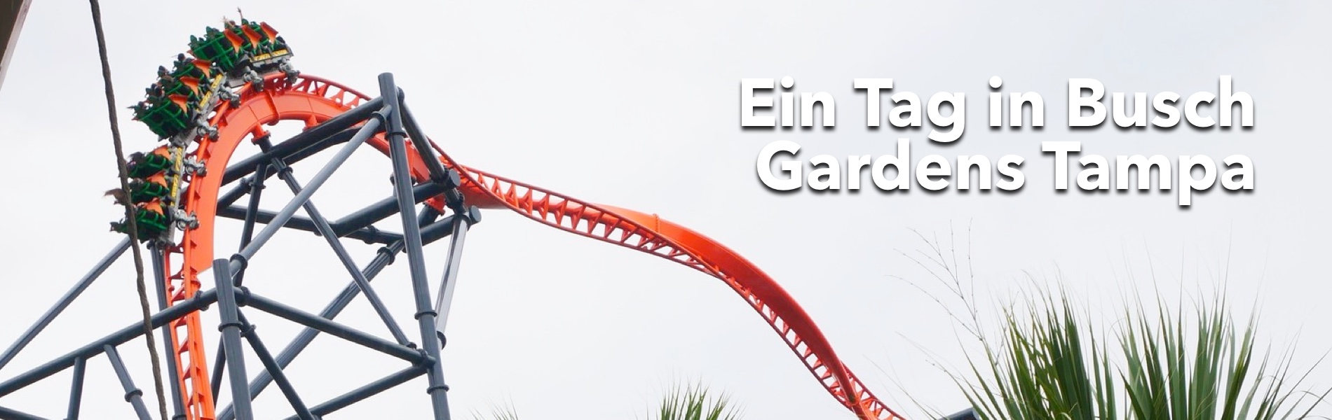 Teaser Ein Tag in Busch Gardens Tampa