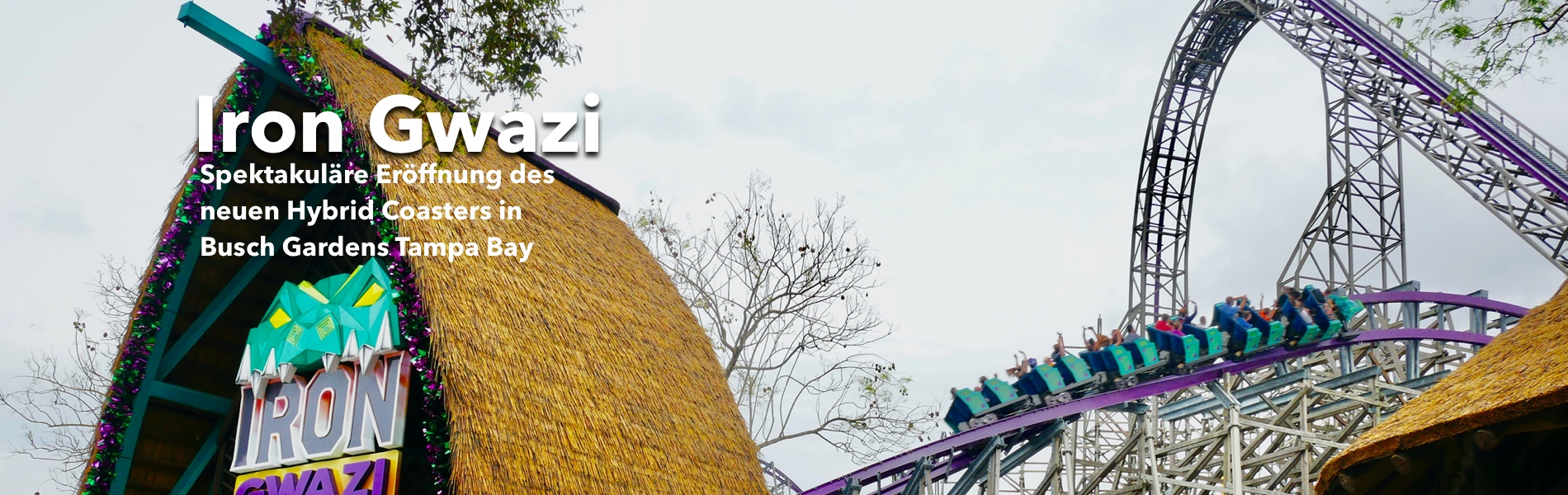 Teaser Iron Gwazi