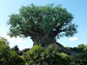 Teaserfoto Disneys Animal Kingdom