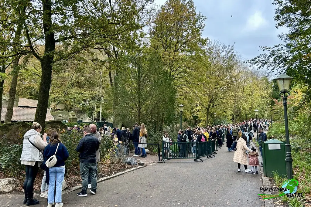 Danse Macabre im Efteling - 2024: Wartezeiten an den ersten Tagen lagen weit über 100min. In diesem Fall führt eine Schlange Richtung Symbolica.