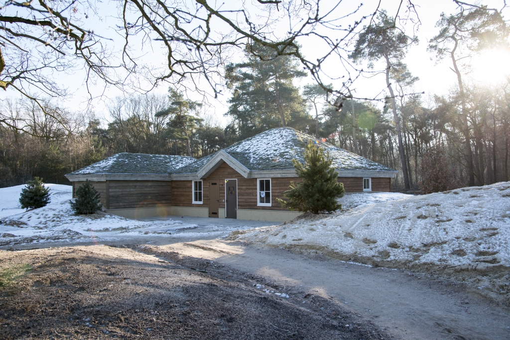 Ferienhaus in den Dünen