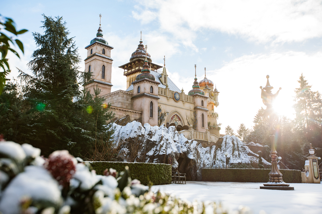 Symbolica - Door de struiken in de sneeuw met zon.jpg