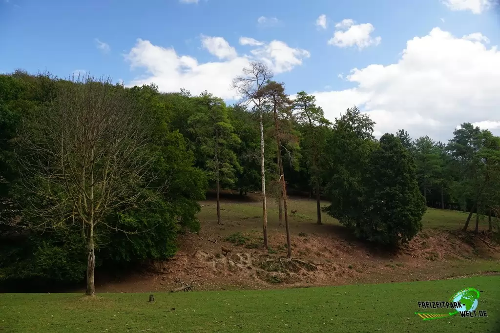 Wildpark im Eifelpark - 2020