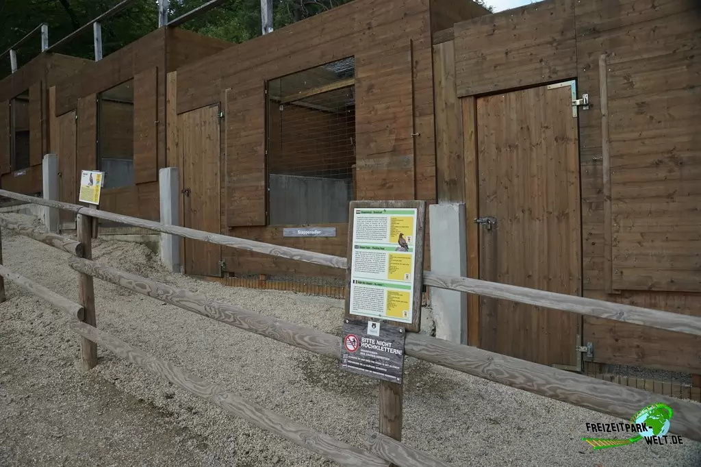 Wildpark im Eifelpark - 2020