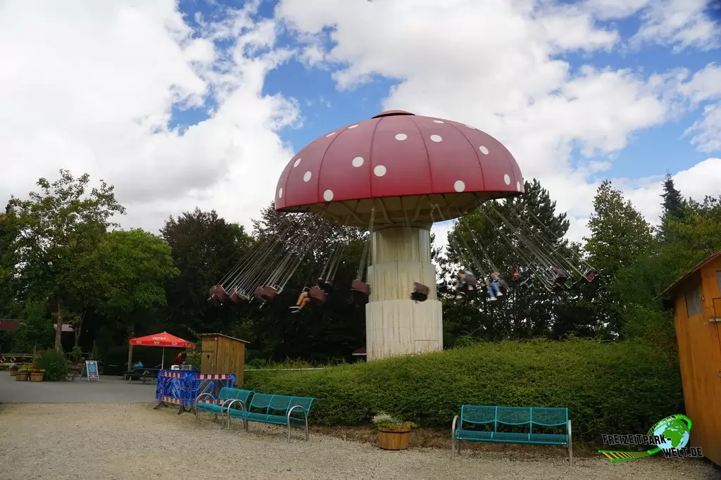 Fliegenpilz im Eifelpark - 2020