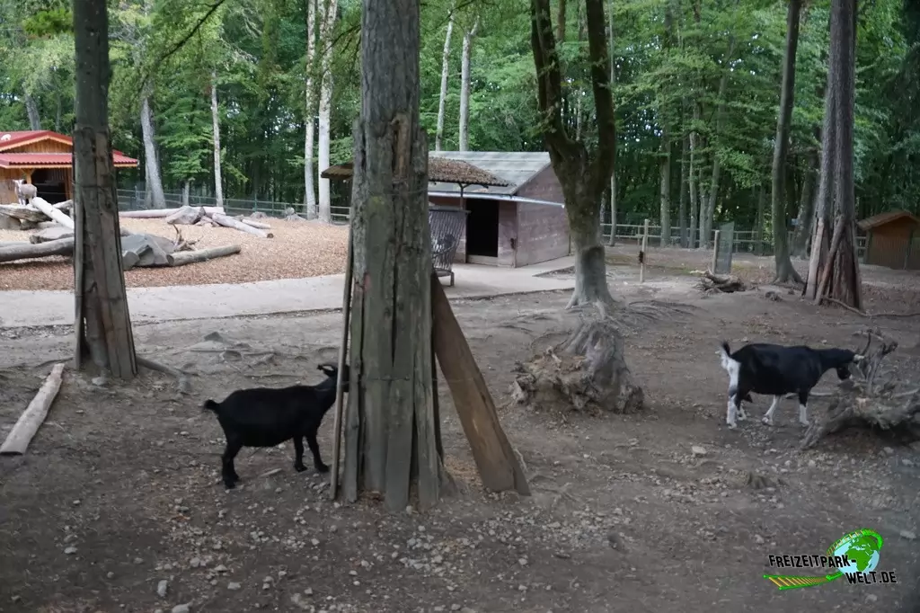 Wildpark im Eifelpark - 2020