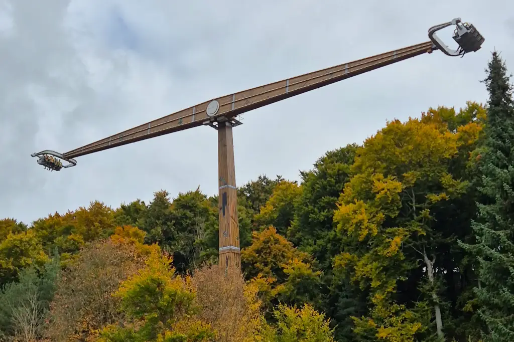 Platzhirsch im Eifelpark - 2025