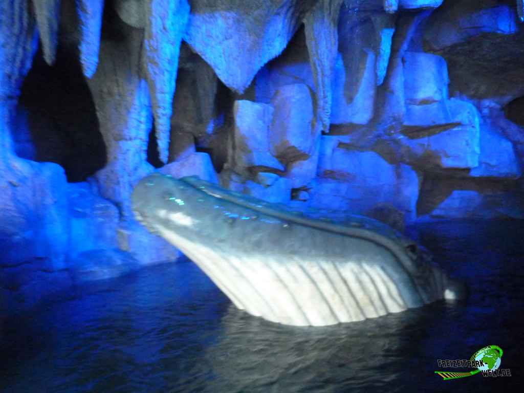 Whale Adventures Northern Lights EuropaPark FreizeitparkWelt.de