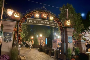 Mini-Galerie Europa-Park Foto 7